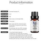 Essential Oil Manufacturer - Lavender Pure Floral Fragrance Water Soluble