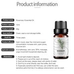 Essential Oil Manufacturer - Rosemary for Calm Mood & Skin Moisturizing