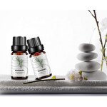 Essential Oil Manufacturer - Rosemary for Calm Mood & Skin Moisturizing