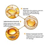 Body Mist - Manufacturer - Customized Three Color Moisturizing Deep Hydration Women Care