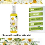 Bubble Clay Mask - Manufacturer - Activated Charcoal Oxygen Cleansing Carbonated Face Mask