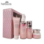 Vitamin C Skin Care Set - Manufacturer - Private Label Hot Selling Organic Whitening Brightening
