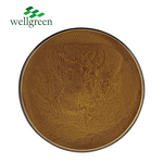 Shikakai Powder Manufacturer - Wellgreen Natural 10:1 from Pods for Shampoo