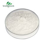 Collagen Peptide Powder Manufacturer - Wellnature Undenatured Type II Complex