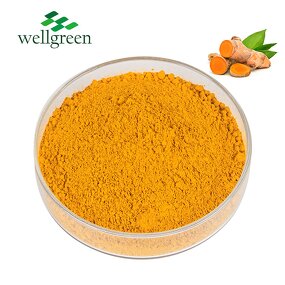 Turmeric Powder Manufacturer - Buyer White 10kg Latte Jar Root Extract
