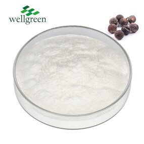 Soapnut Extract Manufacturer - Natural Detergent 40% Saponin from Seed