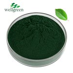 Sodium Copper Chlorophyllin Powder Manufacturer - Nature Salt
