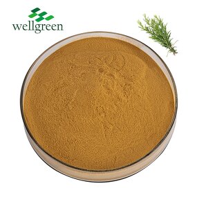 Rosemary Extract Powder Manufacturer - Free Sample 5%-90% Rosmarinic Acid Cosmetic