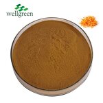 Mushroom Coffee Powder Manufacturer - Wellgreen CGMP 4-in-1 Slim Blend Instant