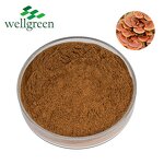 Shiitake Mushroom Extract Manufacturer - Wellgreen USDA 30% & 50% AHCC Powder