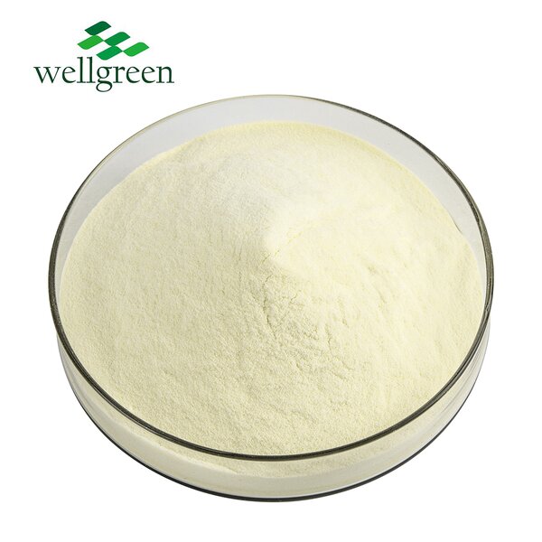 Liposomal Vitamin C Powder Manufacturer - Wellgreen 50% Ascorbic Acid
