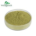 Celery Powder Manufacturer - Chinese Factory Export Low Price from Seeds