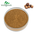 Soapberry Extract Powder Manufacturer - Wellgreen Herbal 10:1 Saponins