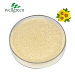 Sunflower Lecithin Manufacturer - Halal Organic Liquid CAS 8002-43-5 Bulk