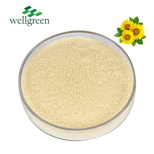 Sunflower Lecithin Manufacturer - Halal Organic Liquid CAS 8002-43-5 Bulk