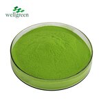 Matcha Powder Manufacturer - Instant Green Tea Ceremonial 100% Organic
