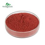 Tomato Powder Manufacturer - Natural Organic Food Grade Spray Dried