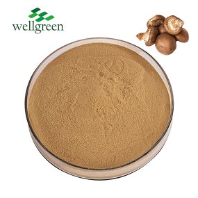 Shiitake Mushroom Powder Manufacturer - Factory Outlet Lentinus Edodes Extract