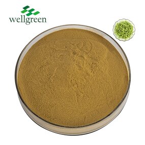 Chlorogenic Acid Manufacturer - Wellgreen Natural 98% from Honeysuckle Flower