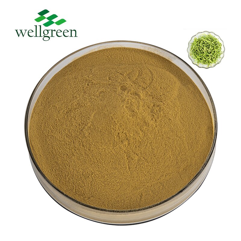 Chlorogenic Acid Manufacturer - Wellgreen Natural 98% from Honeysuckle Flower