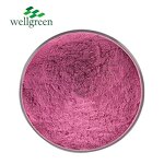 Watermelon Juice Powder Manufacturer - Pure Natural Water Soluble Freeze Dried