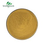 Chlorogenic Acid Powder Manufacturer - Wholesale China Made from Honeysuckle