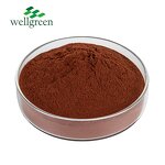 Grape Seed Extract Powder Manufacturer - Skin Cosmetic Use 95% OPC Natural Antioxidant