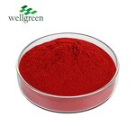 Food Coloring Powder Manufacturer - Water Soluble Edible Natural Ponceau Carmine