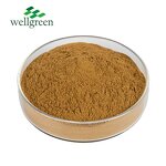 Chlorogenic Acid Manufacturer - Bulk Export Soluble from Eucommia Leaf