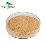 Malt Extract Powder Manufacturer - Manufacturer Suppliers Hydrolyzed from Barley