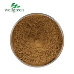 Saponin Powder Manufacturer - Highest Quality 100% Natural Quillaja Bark Extract