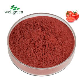 Tomato Powder Manufacturer - 100% Natural Vegetable Spray Dried Food Grade