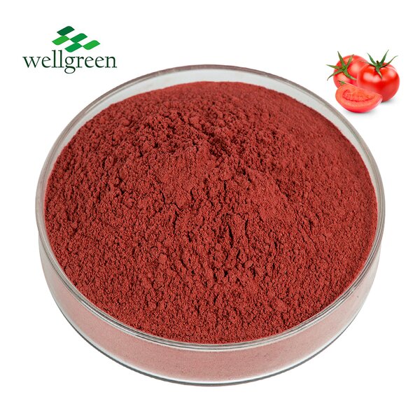 Tomato Powder Manufacturer - 100% Natural Vegetable Spray Dried Food Grade