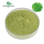 Moringa Powder Manufacturer - Wholesale Bulk Organic Pure Natural Leaf