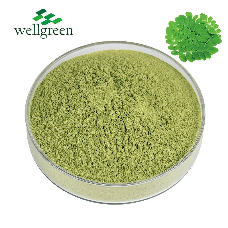 Moringa Powder Manufacturer - Wholesale Bulk Organic Pure Natural Leaf