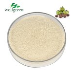 Tea Saponin Powder Manufacturer - Bulk Pure Natural Camellia Oleifera Seed 60%