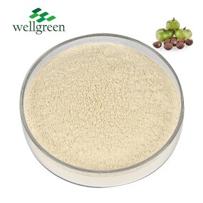 Tea Saponin Powder Manufacturer - Bulk Pure Natural Camellia Oleifera Seed 60%