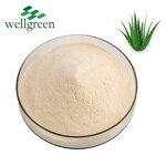 Aloe Vera Powder Manufacturer - Wellgreen Organic Freeze Dried 200:1 Gel