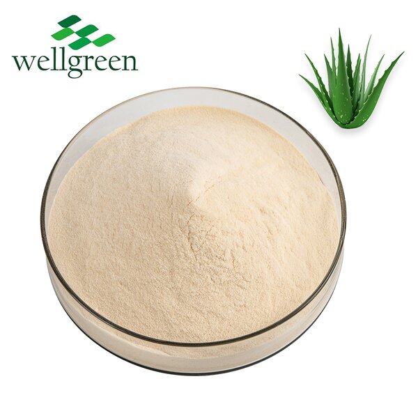 Aloe Vera Powder Manufacturer - Wellgreen Organic Freeze Dried 200:1 Gel