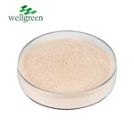 Onion Powder Manufacturer - Gold Supplier Dehydrated Organic Red, Green, White