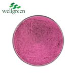 Dragon Fruit Powder Manufacturer - Freeze Dried Organic Superior Food Grade Red