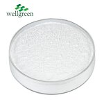 Vitamin B Complex Powder Manufacturer - OEM B1, B2, B3, B6, B7, B9, B12