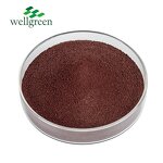 Canthaxanthin Powder Manufacturer - Pure Food Grade 10%