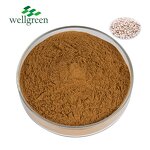 Thunberg Fritillary Bulb Extract Manufacturer - Natural 10:1 Food/Cosmetic Grade