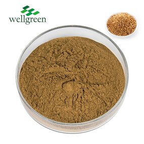 Rutin Extract Manufacturer - Health Care from Tartary Buckwheat Flavonoids
