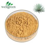 Yucca Extract Powder Manufacturer - Root Saponin Water Soluble Sarsaponin