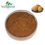 Mushroom Coffee Powder Manufacturer - Wellgreen CGMP 4-in-1 Slim Blend Instant