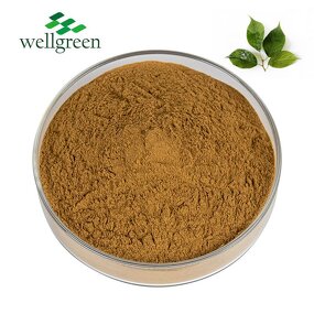 Chlorogenic Acid Manufacturer - Bulk Export Soluble from Eucommia Leaf