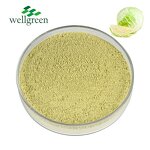 Purple Cabbage Powder Manufacturer - Fermented Red Juice Herbal Extract