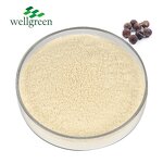 Soapberry Extract Powder Manufacturer - 100% Natural 40%-80% Saponins for Baby Soap